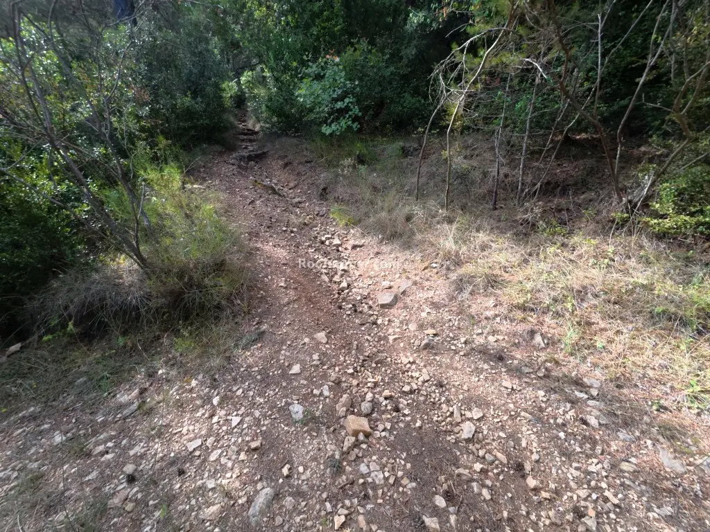 Barranc d’en Fort + Barranc de la Llúdriga