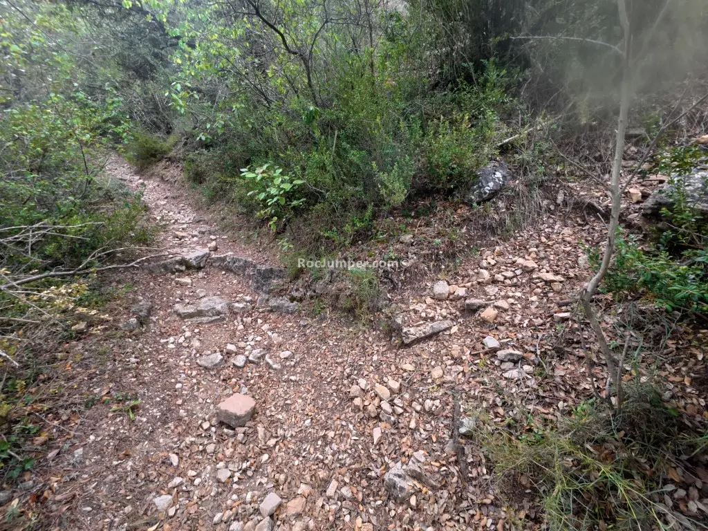 Barranc d’en Fort + Barranc de la Llúdriga
