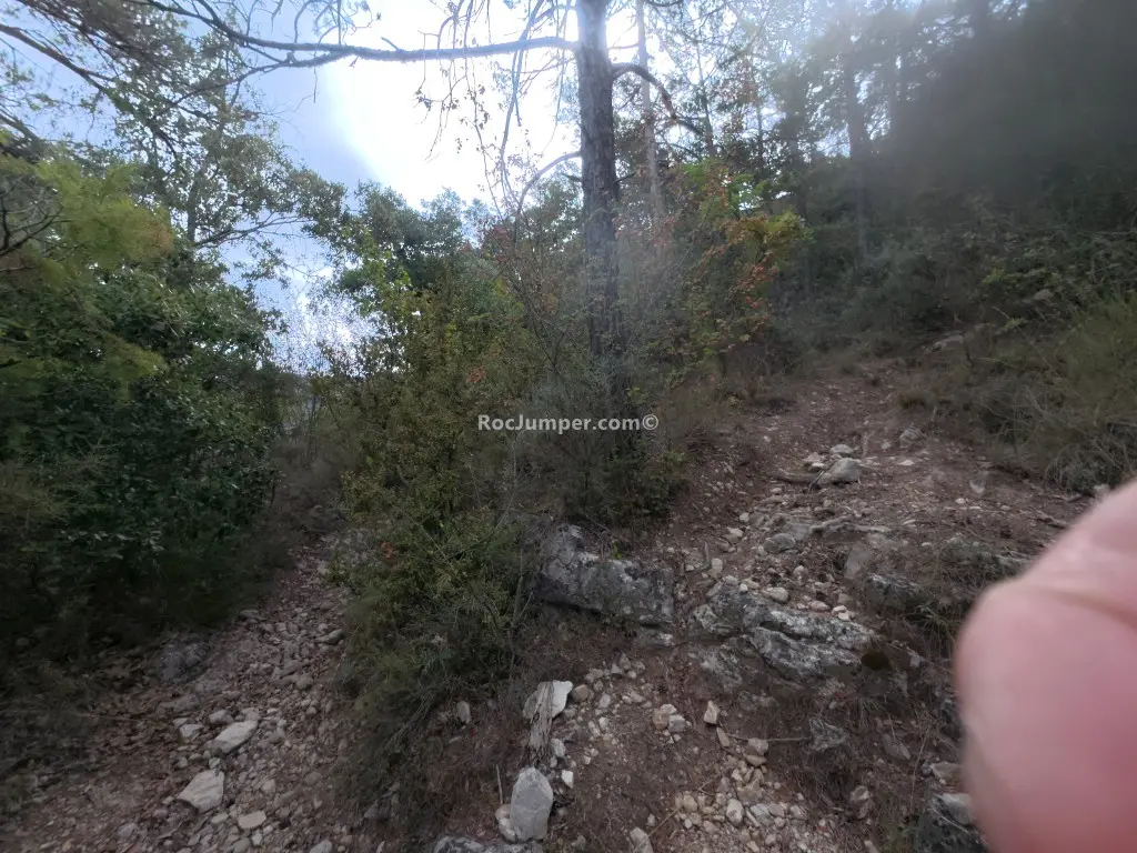 Barranc d’en Fort + Barranc de la Llúdriga