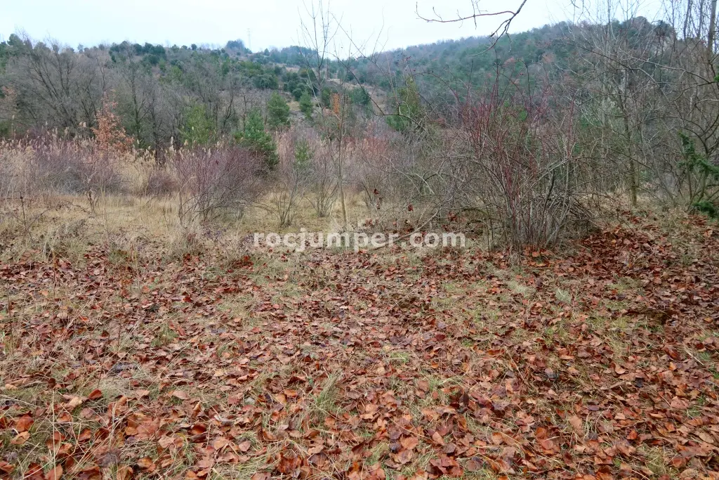 Torrent de la Frau Integral Combinación