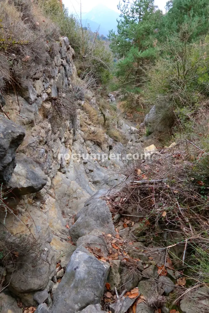 Torrent de la Frau Integral Combinación