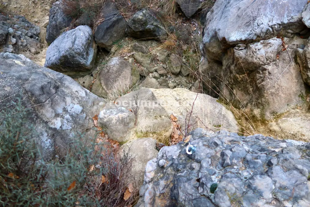 Torrent de la Frau Integral Combinación