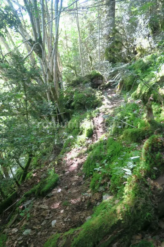 Barranco de la Fuen Blanca o Fuenblanca