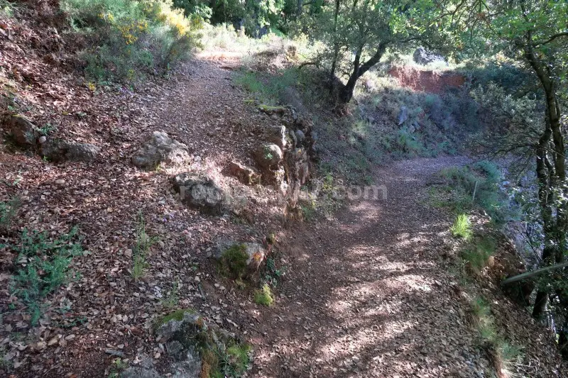 Barranc de Gurp Gurp, Lleida Bonito y Variado