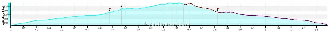 Torrent dels Hortals