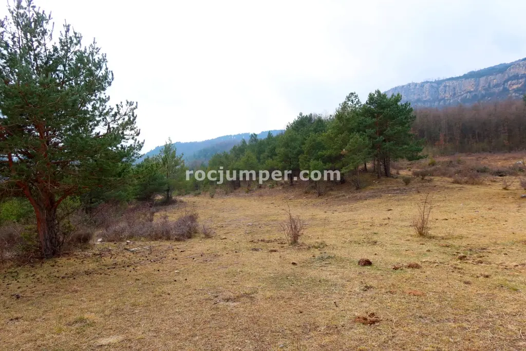 Torrent del Jou por Afluente Izquierdo Combinación