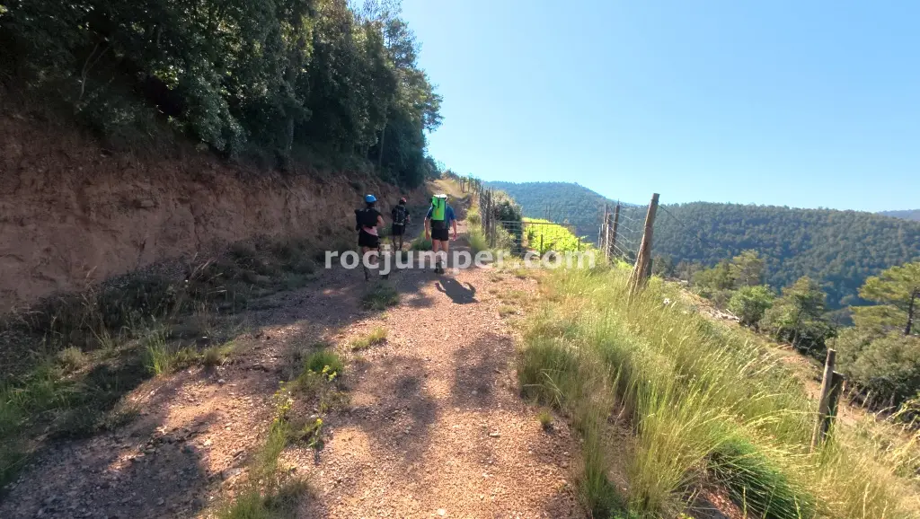 Torrent de Junyent