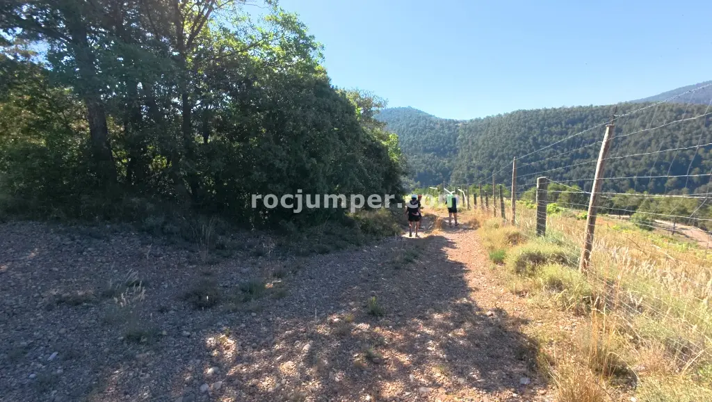 Torrent de Junyent