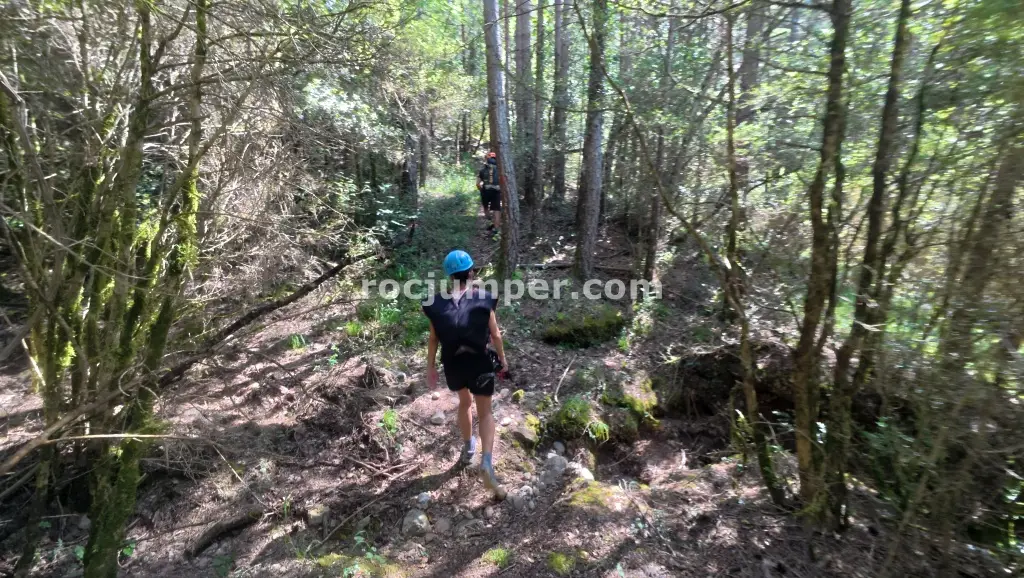 Torrent de Junyent
