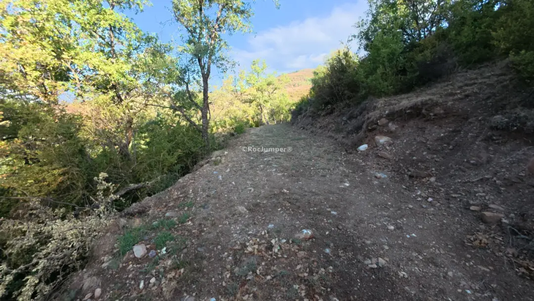 Barranc Llenguadera