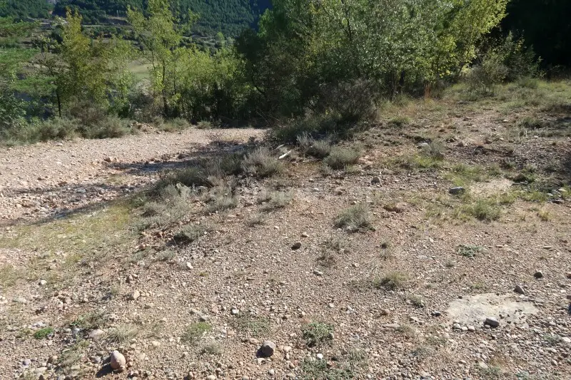 Barranc de la Llosa o Torrent de Pixavaques
