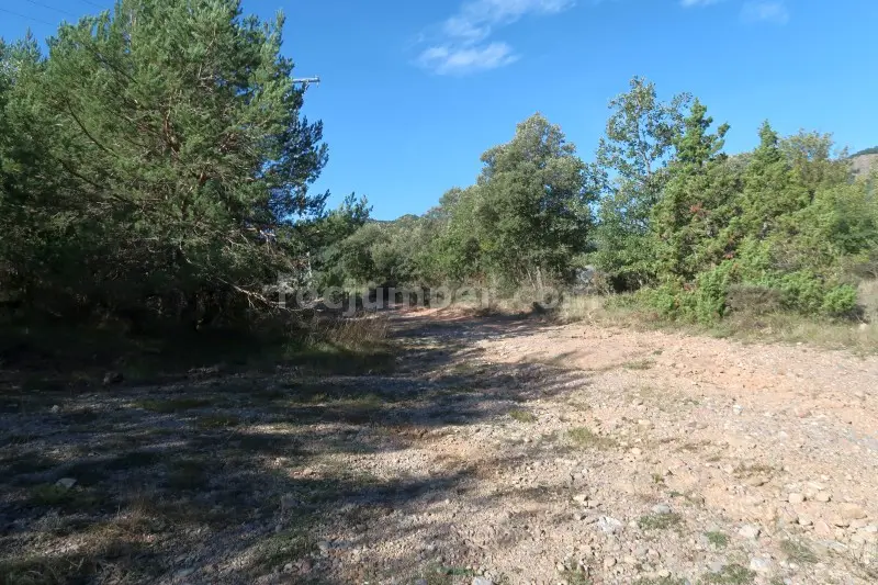 Barranc de la Llosa o Torrent de Pixavaques