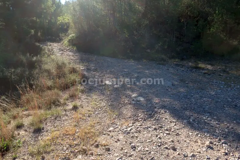 Barranc de la Llosa o Torrent de Pixavaques