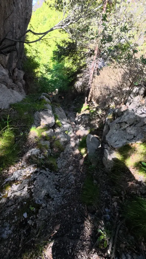 Torrent de Mataplana