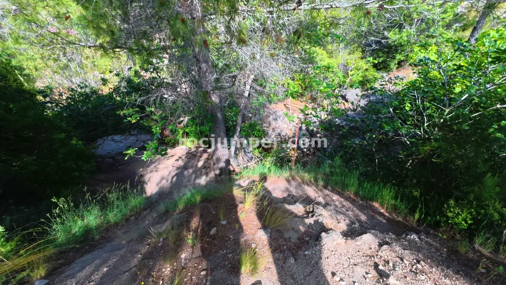 Barranco del Nacimiento