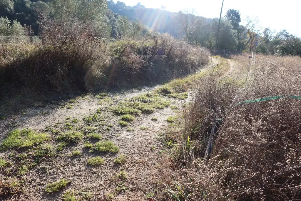 Torrent de Cal Nerós o Clot de Raig con 1 coche