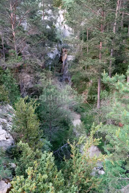 Barranc de L’Obaga Negra o L’Aubaga Negra
