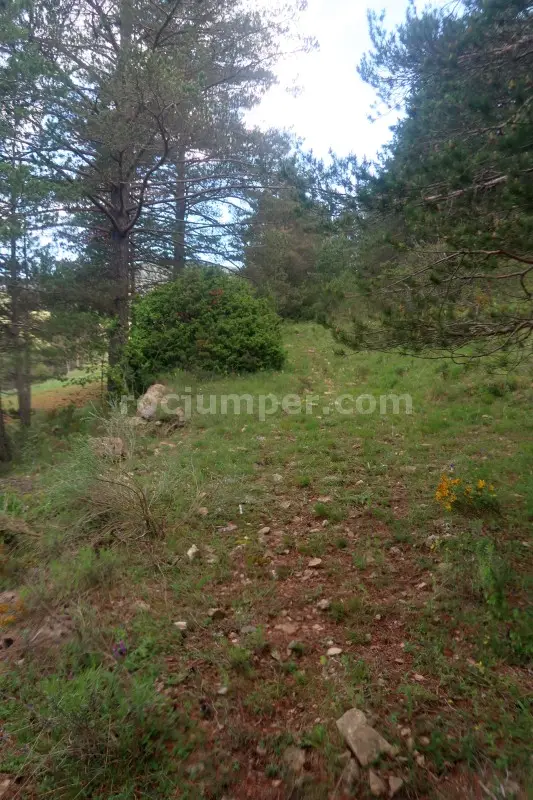 Barranc de L’Obaga Negra o L’Aubaga Negra