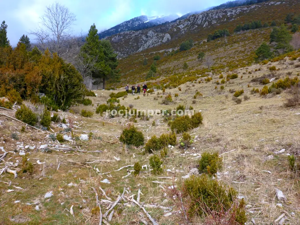 Barranc de L’Olla de Mel