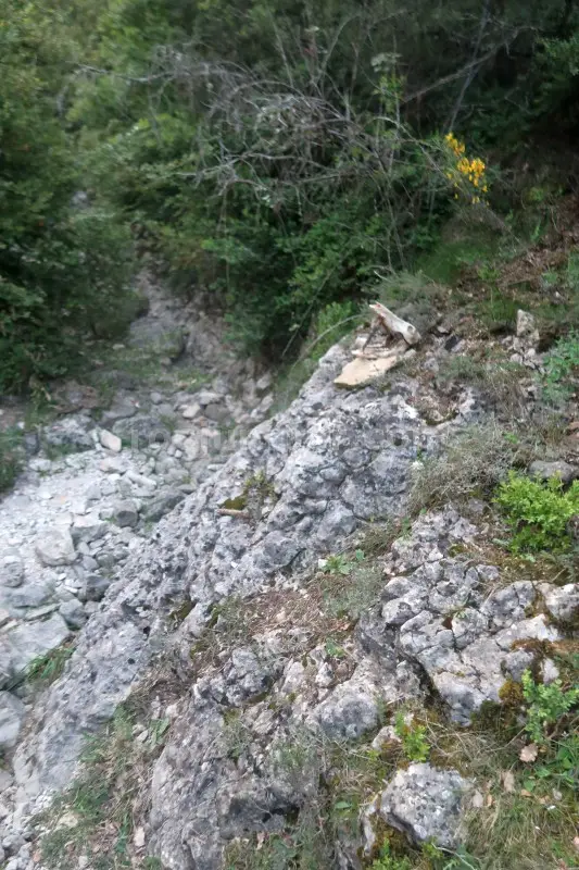 Barranco d’Os Cochás + Mascún Inferior