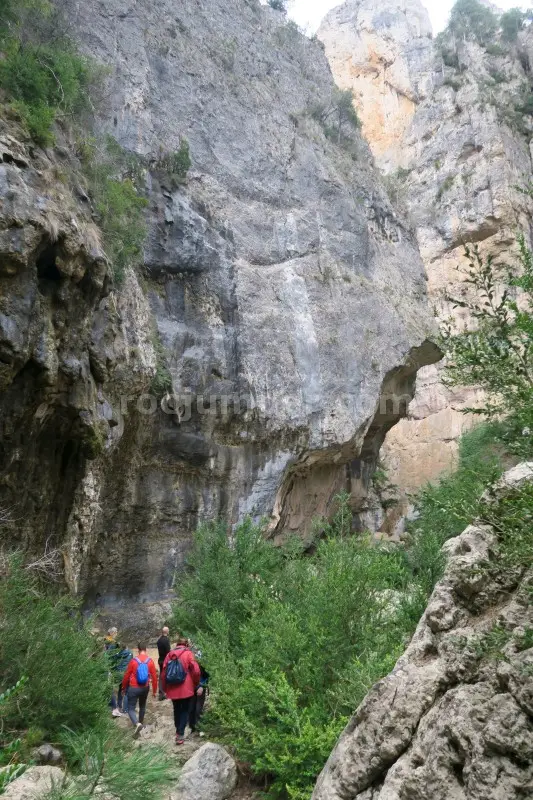 Barranco Palanques