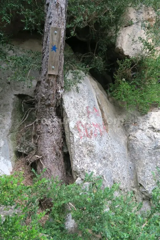 Barranco Palanques