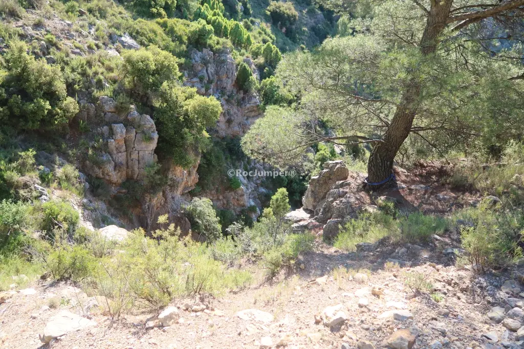 Barranco de Parretes + Afluente