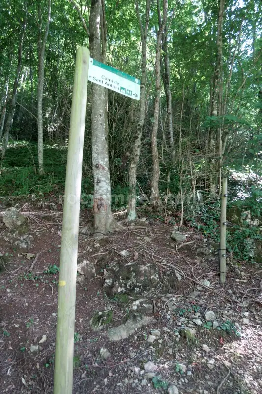 Torrent de la Pedrera