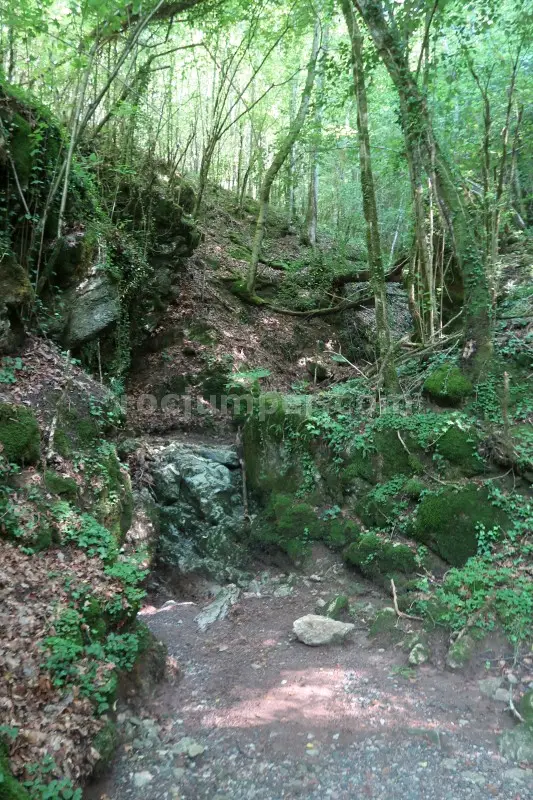 Torrent de la Pedrera