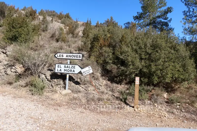 Barranc Pla de les Guàrdies