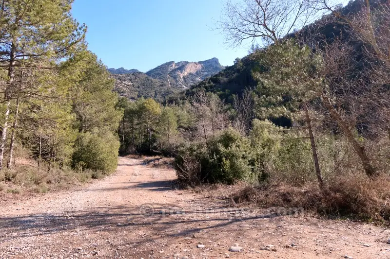 Barranc Pla de les Guàrdies