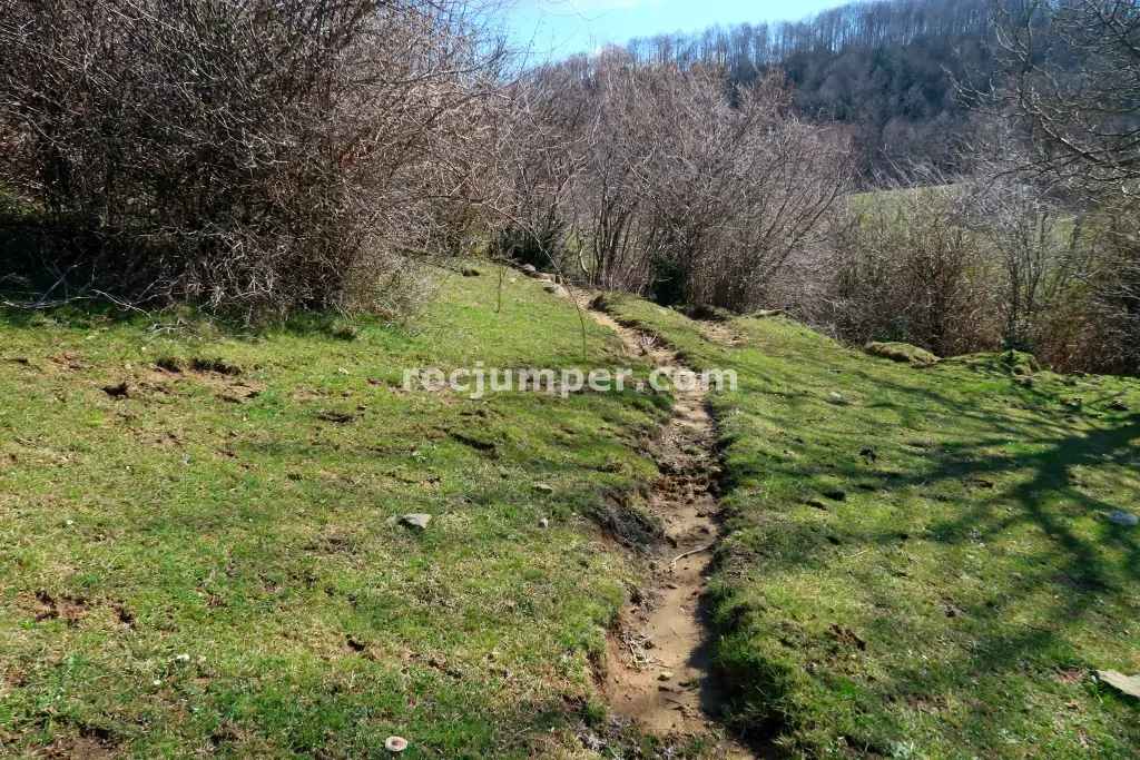 Torrent del Pla dels Hortals
