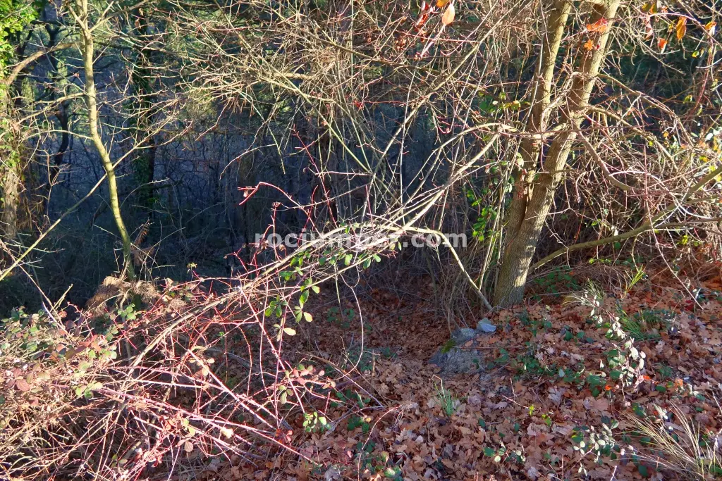 Torrent del Polvorí Vell o Afluente de Sant Romà Combinación