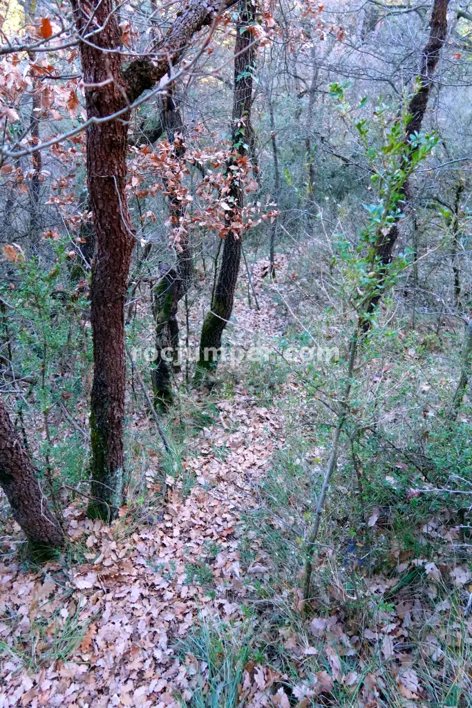 Torrent del Polvorí Vell o Afluente de Sant Romà Combinación