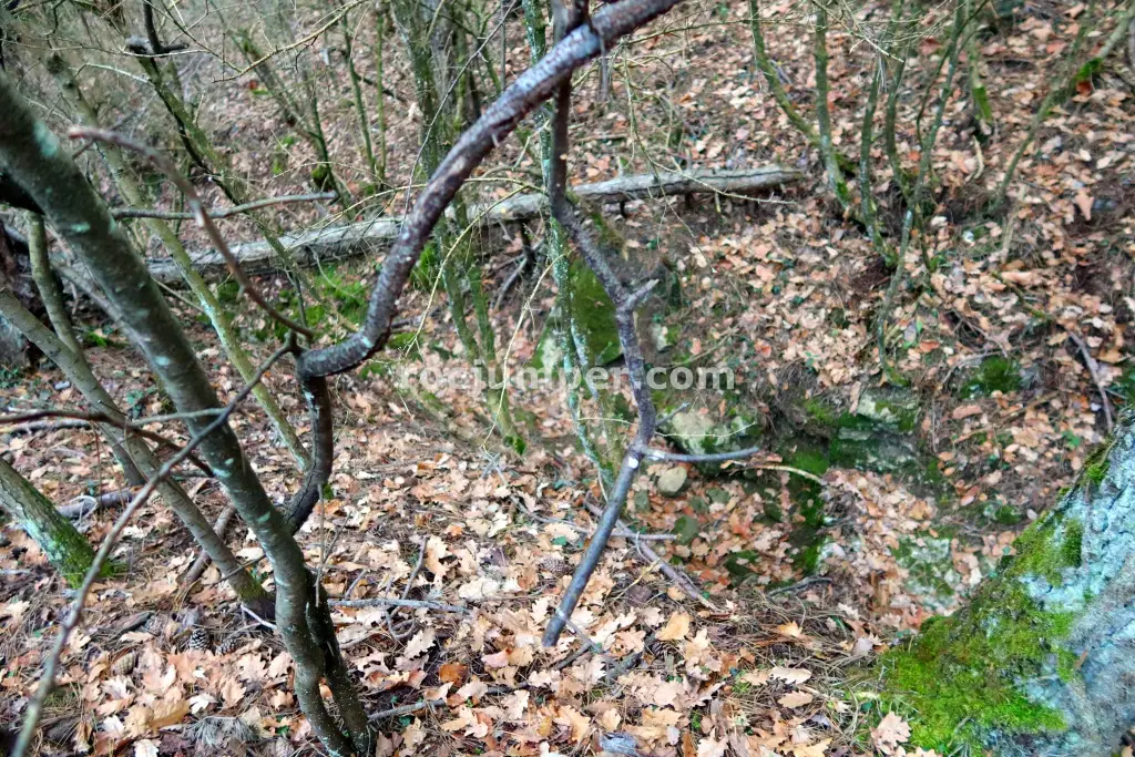 Torrent del Polvorí Vell o Afluente de Sant Romà Combinación