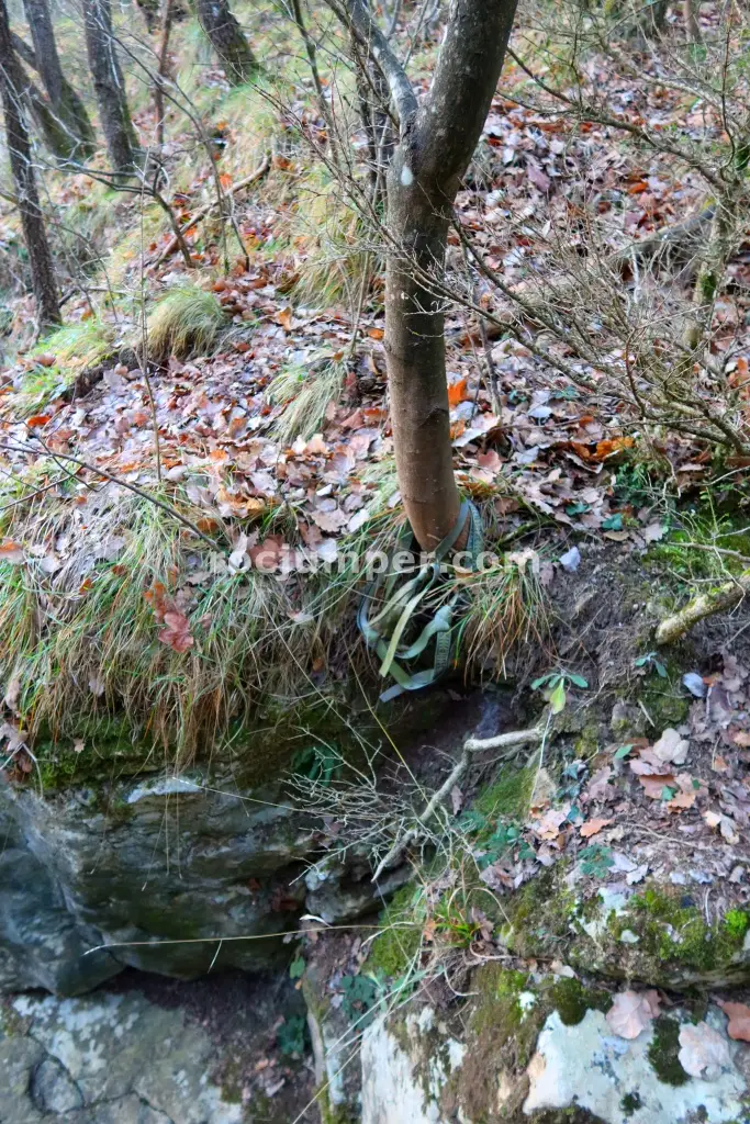 Torrent del Polvorí Vell o Afluente de Sant Romà Combinación