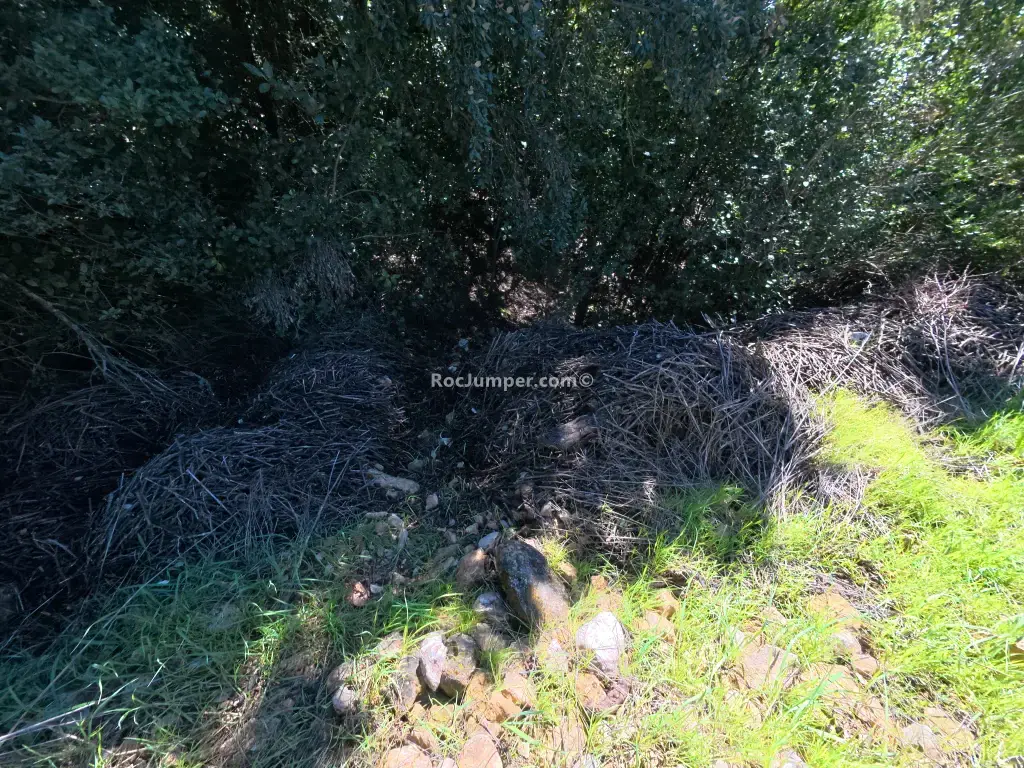 Barranc dels Pouets Inferior