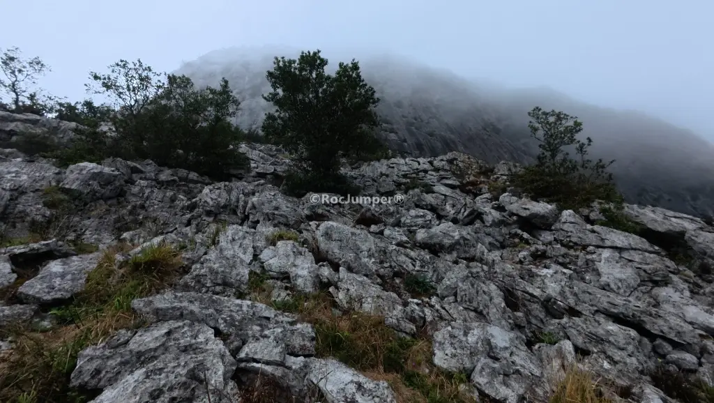 Rápeles de Mur
