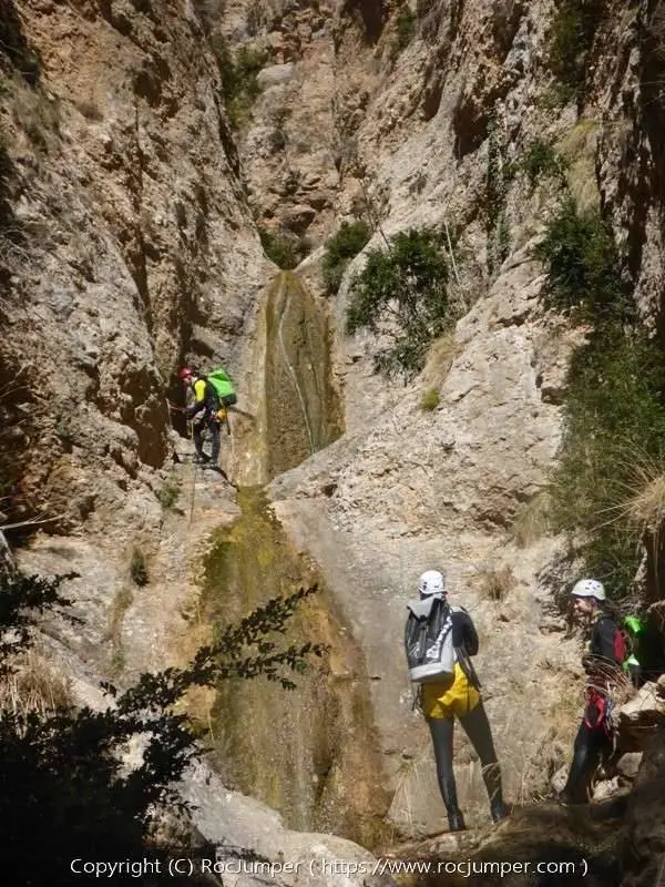 Rasa de Coll del Port