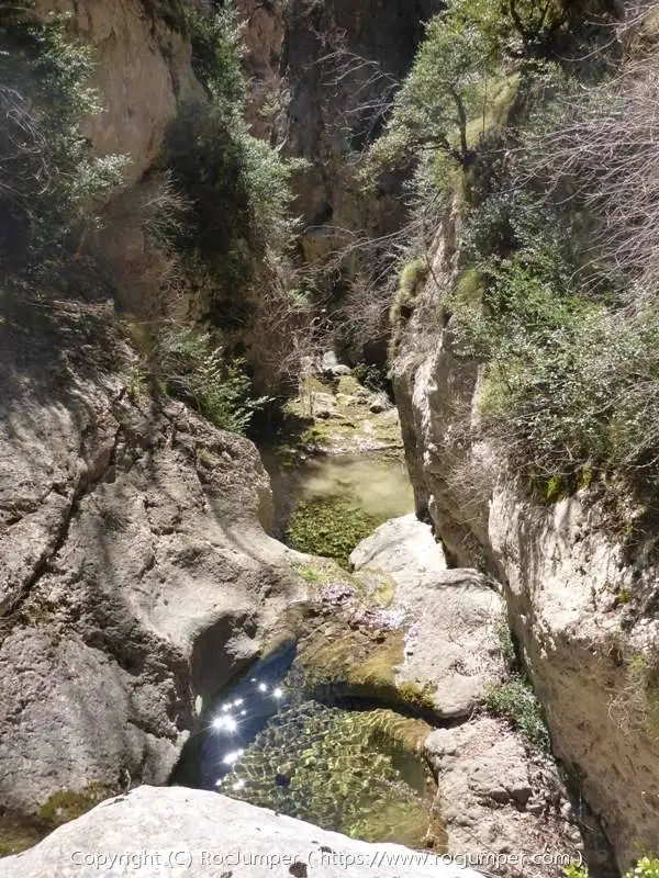 Rasa de Coll del Port