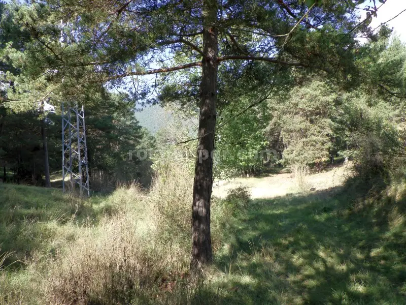 Barranc Rasa de la Perera