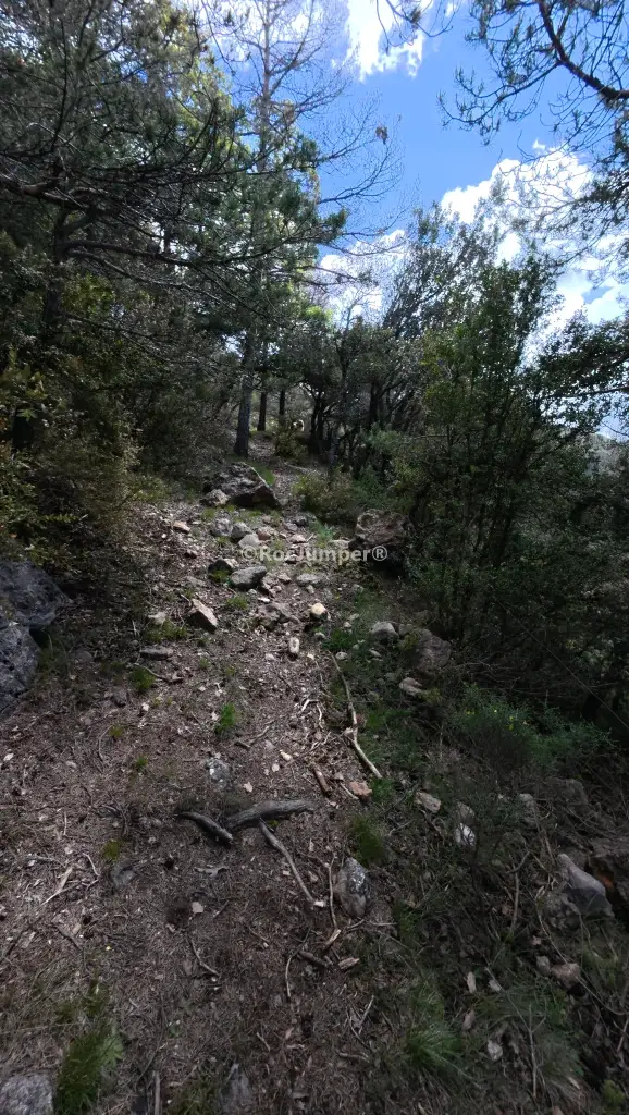 Rasa de Cal Ratera o Aigua de la Corba Superior