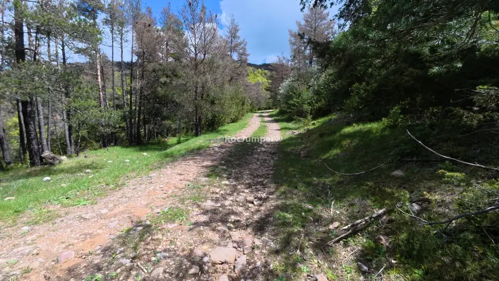 Rasa de Cal Ratera o Aigua de la Corba Superior