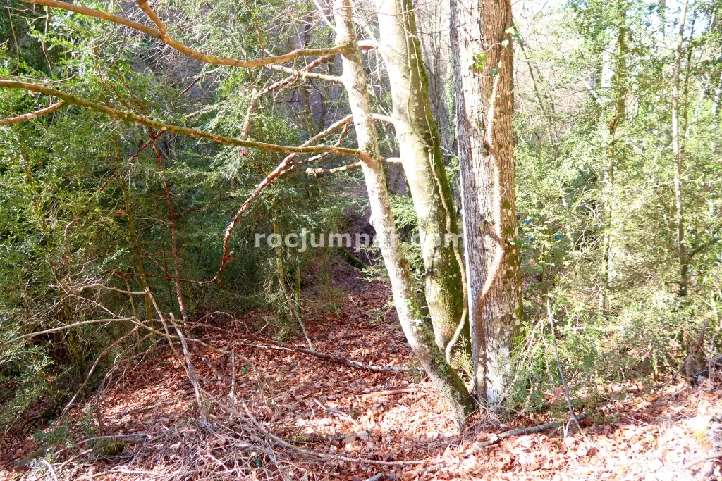 Rec de les Espinedes