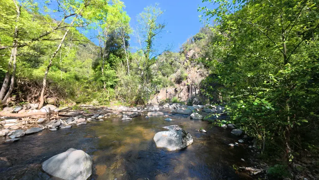 Riera d’Osor