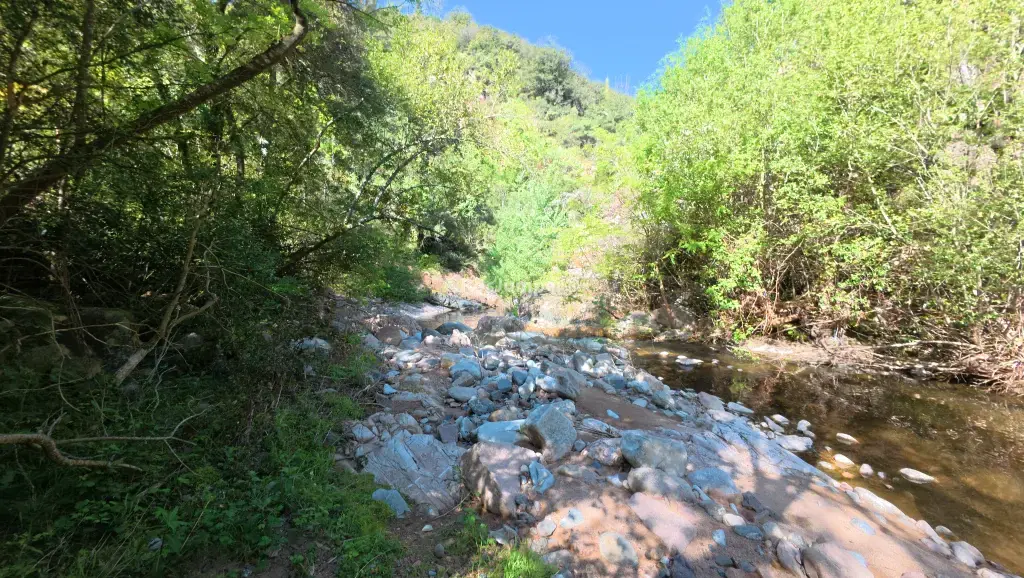 Riera d’Osor