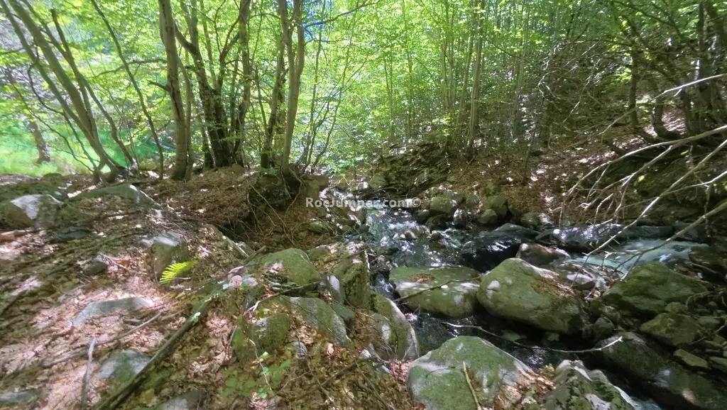 Barranco Riueño