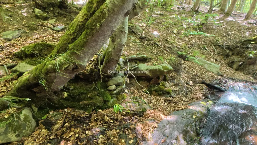 Barranco Riueño