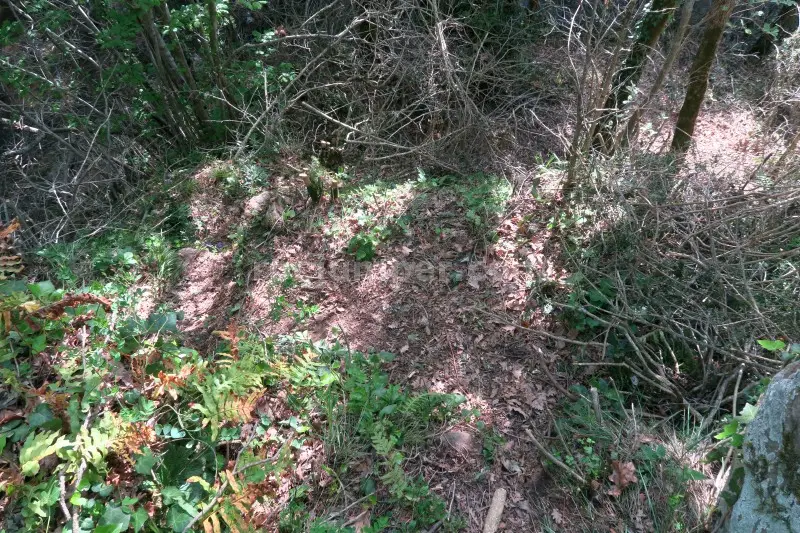 Sallent de la Batllia Falgars d’en Bas, Girona