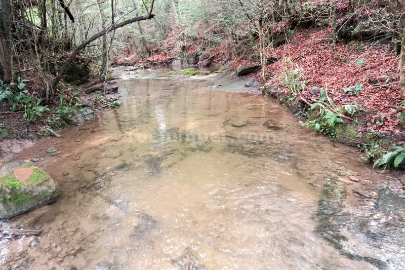 Sallent de Bertrans Falgars d’en Bas, Girona